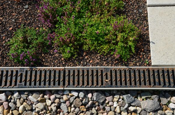 Cost of Lawn Drainage Repair in Port Orchard