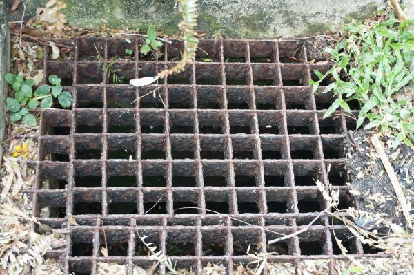 Yard Drain Cleaning in Port Orchard