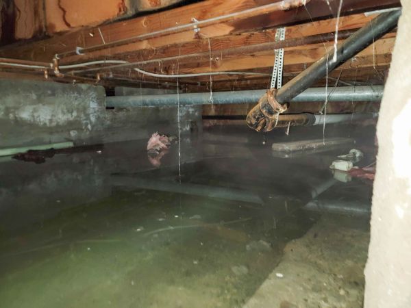 Cost of Crawlspace Drainage in Port Orchard